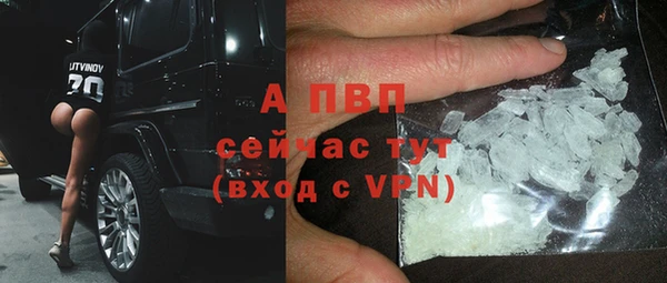 стафф Лабытнанги