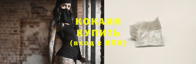 стафф Лабытнанги