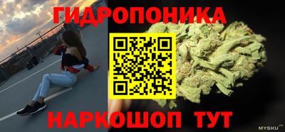 шишки Жуковский