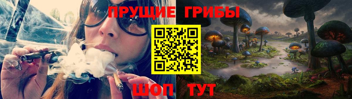 Галлюциногенные грибы прущие грибы Кострома